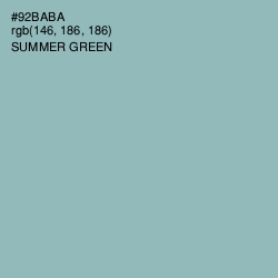 #92BABA - Summer Green Color Image